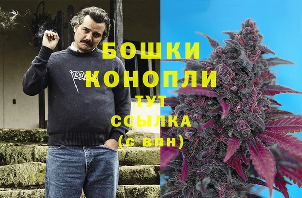 молекула духа Остров