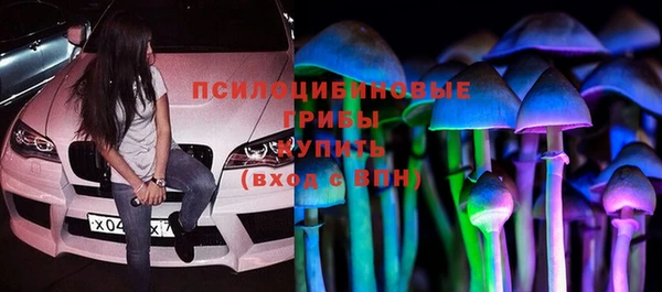 соль ск Абдулино