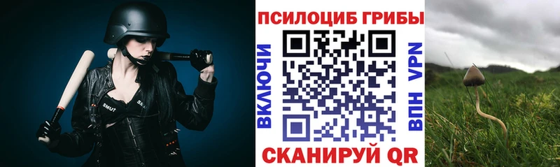 Псилоцибиновые грибы Psilocybe  Владикавказ 