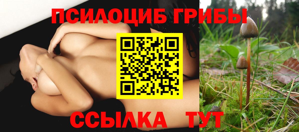 Псилоцибиновые грибы Magic Shrooms  Вход с VPN  Владикавказ 